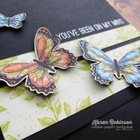 In the Spotlight - Botanical Butterfly DSP